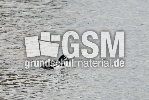 Spatelente (2 von 3).jpg